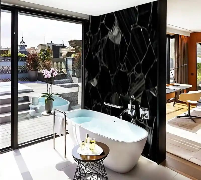 Obsidian Black With Silver