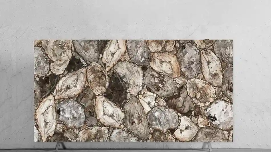 White Petrified Wood Retro